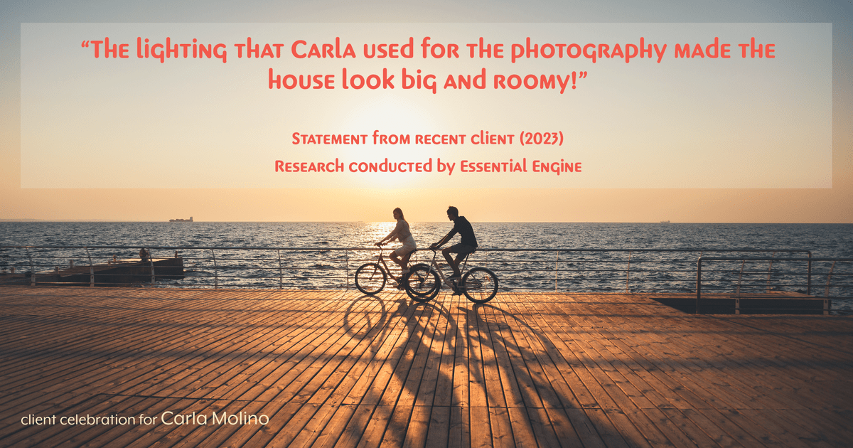 Testimonial for real estate agent Carla L. Molino with Coldwell Banker Realty in San Diego, CA: "The lighting that Carla used for the photography made the house look big and roomy!"