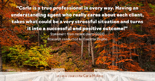 Testimonial for real estate agent Carla L. Molino with Coldwell Banker Realty in San Diego, CA: "Carla is a true professional in every way. Having an understanding agent who really cares about each client, takes what could be a very stressful situation and turns it into a successful and positive outcome!"