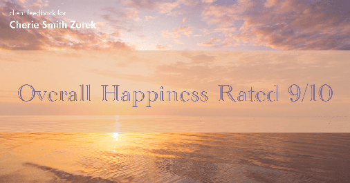 Testimonial for real estate agent Cherie Smith Zurek with RE/MAX in Lake Zurich, IL: Happiness Meters: Stars (Overall Happiness 9/10)