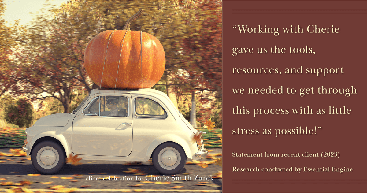 Testimonial for real estate agent Cherie Smith Zurek with RE/MAX in Lake Zurich, IL: "Working with Cherie gave us the tools, resources, and support we needed to get through this process with as little stress as possible!"