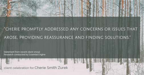 Testimonial for real estate agent Cherie Smith Zurek with RE/MAX in Lake Zurich, IL: "Cherie promptly addressed any concerns or issues that arose, providing reassurance and finding solutions."