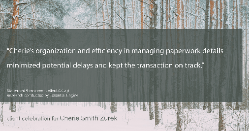 Testimonial for real estate agent Cherie Smith Zurek with RE/MAX in Lake Zurich, IL: "Cherie's organization and efficiency in managing paperwork details minimized potential delays and kept the transaction on track."