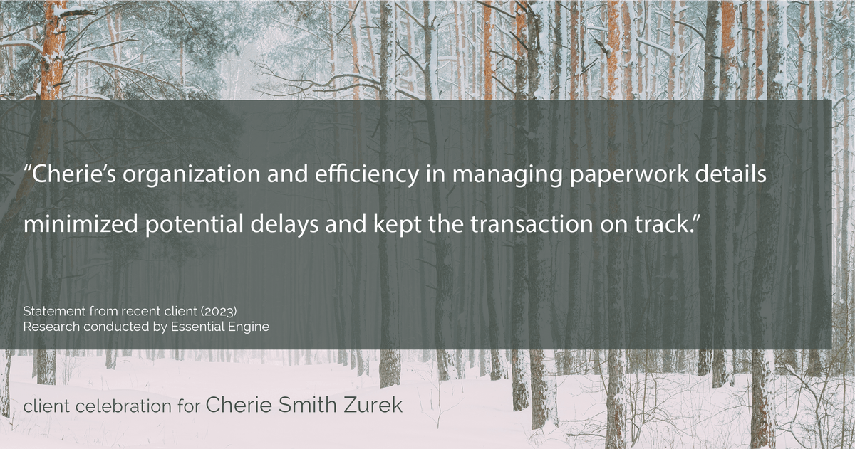 Testimonial for real estate agent Cherie Smith Zurek with RE/MAX in Lake Zurich, IL: "Cherie's organization and efficiency in managing paperwork details minimized potential delays and kept the transaction on track."