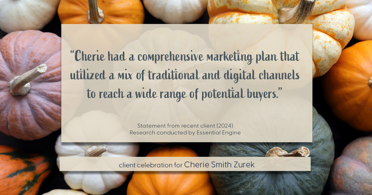 Testimonial for real estate agent Cherie Smith Zurek with RE/MAX in Lake Zurich, IL: "Cherie had a comprehensive marketing plan that utilized a mix of traditional and digital channels to reach a wide range of potential buyers."