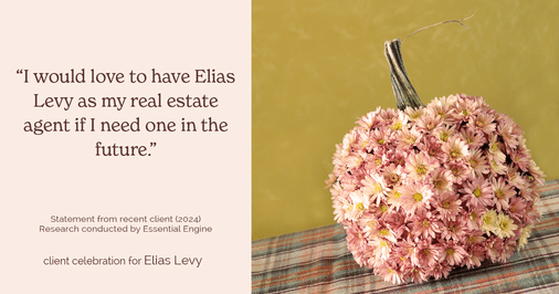 Testimonial for real estate agent Elias Levy with BHGRE Clarity in , : "I would love to have Elias Levy as my real estate agent if I need one in the future."