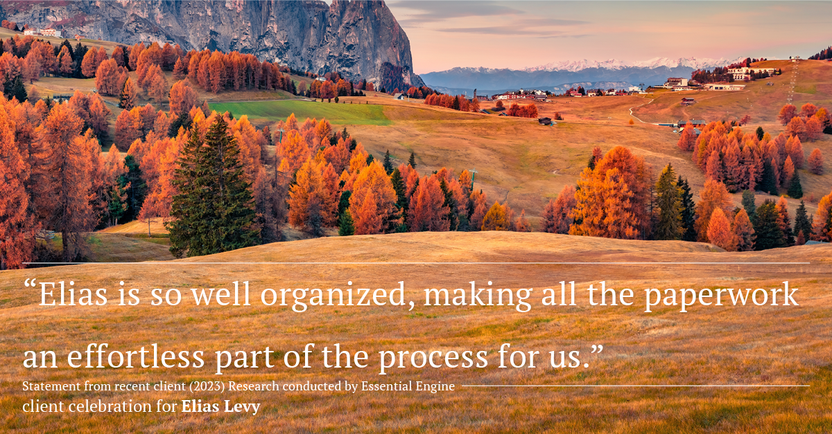 Testimonial for real estate agent Elias Levy with BHGRE Clarity in , : "Elias is so well organized, making all the paperwork an effortless part of the process for us."