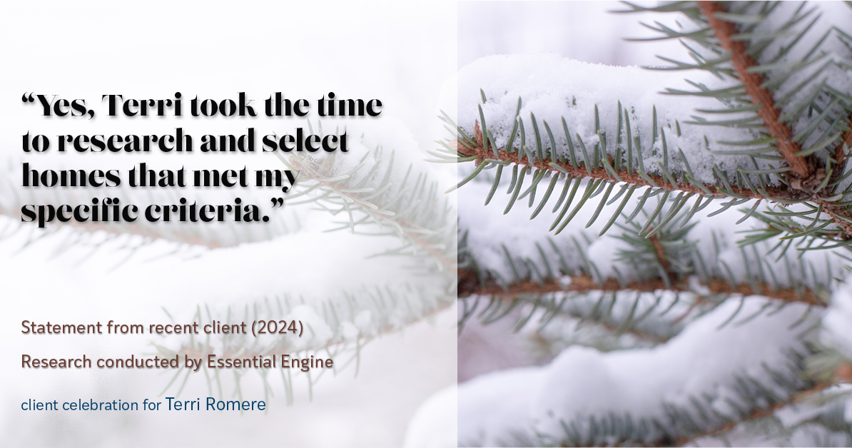 Testimonial for real estate agent Terri Romere, Broker Associate with Powered by kw-LONESTAR Realty in Cedar Park, TX: "Yes, Terri took the time to research and select homes that met my specific criteria."