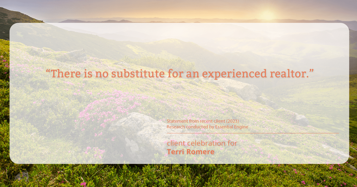 Testimonial for real estate agent Terri Romere with Keller Williams Lonestar in Austin, TX: “There is no substitute for an experienced realtor."